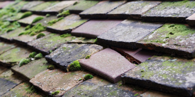 Bryn Myrddin roof repair costs
